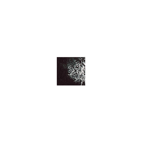 Daniel Smith, Watercolor, Art & School, Extra Fine, 15ml, 46007, Lunar Black